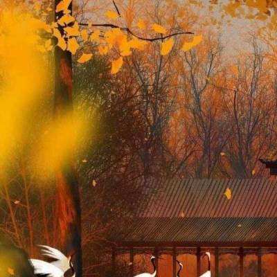 广西加强清明节、“广西三月三”假期森林火灾监测预警防范